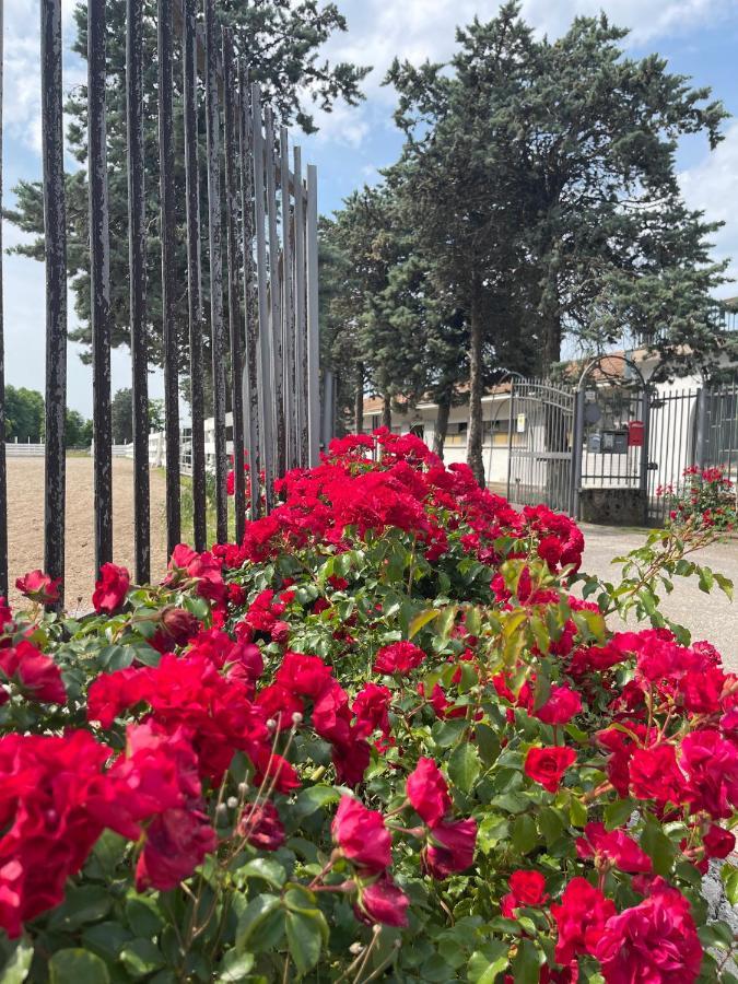 Bedizzole Agriturismo Monteroseo מראה חיצוני תמונה
